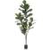 Emerald violinfigen Ficus Lyrata Kunstig plante