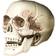 Hisab Joker Party Decorations Skull