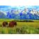 Eurographics Grand Teton National Park 1000 Pieces