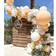 Balloon Arches Venue Backdrop 164pcs