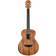 Washburn WCGM55K-D