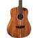 Washburn WCGM55K-D
