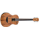 Washburn WCGM55K-D