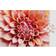 Printworks Wildlife Pattern Dahlia 500 Pieces