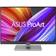 ASUS ProArt Display PA248CNV