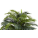 Nearly Natural Planter Artificial Plant