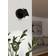 Eglo Sorego Spotlight
