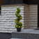 Star Trading Ornamental Green Konstgjord växt
