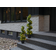 Star Trading Ornamental Green Konstgjord växt