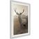 Arkiio Affisch Deer in Sepia Poster