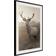 Arkiio Affisch Deer in Sepia Poster