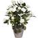 Mica Decorations Rosal Artificial Plant