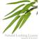 Christow Bamboo Artificial Plant