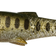 Savage Gear Craft Cannibal Paddletail 12.5cm Olive Pearl Silver Smolt