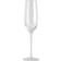 Nordal glas, Garo Ø7,7xH27,5 Champagne Glass 32cl 8pcs