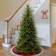 National Tree Company Dunhill Christmas Tree 198.1cm