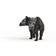 Schleich Wild Life Tapir Baby