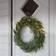 Star Trading Thuja Julpynt 80cm