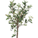 Emerald Olive Kunstig plante