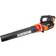 Worx WG584E