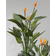 Strelitzia Kunstig plante