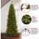 National Tree Company 7.5' North Valley Spruce Pencil Slim Hinged with Lights Christmas Tree 90"