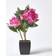 Homescapes Peonies Artificial Plant