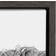 Kate and Laurel Sylvie Highland Framed Art 45.7x61cm