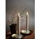 Eledea Crown LED-ljus 20cm 2st