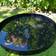 Gardenlife TG291