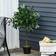 OutSunny Bay Laurel Artificial Plant 2pcs