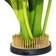 Northix Round Flower Holder Vas 4cm