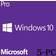 Microsoft Windows 10 Pro English (32-bit OEM)