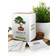 Gift Republic Grow It Bonsai Trees Plantesæt