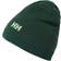 Helly Hansen Brand Beanie Unisex