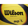 Wilson AVP ARX Game