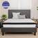 Flash Furniture Capri Comfortable Sleep Twin Coil Spring Mattress