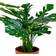 House Nordic Monstera Kunstig plante