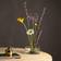 Esschert Design Kenzan L Vase 2.1cm