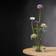 Esschert Design Kenzan L Vase 2.1cm