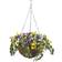 Smart Garden Artificial Pansy Hanging Basket