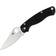 Spyderco Paramilitary 2 Fickkniv