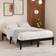 vidaXL Solid Wood Sengeramme 120x190cm