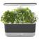 AeroGarden Harvest Slim with Gourmet Herb Seed Pod Kit