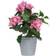 4LIVING Hortensia Konstgjord växt