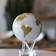 Mova White & Gold Globe 15.2cm