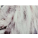Nordic Furniture Lion Plakat 120x80cm