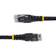 StarTech Molded RJ45-RJ45 UTP Cat6 100ft