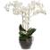 Mr Plant Phalaenopsis Kunstig plante