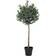 House Nordic Olive Artificial Plant